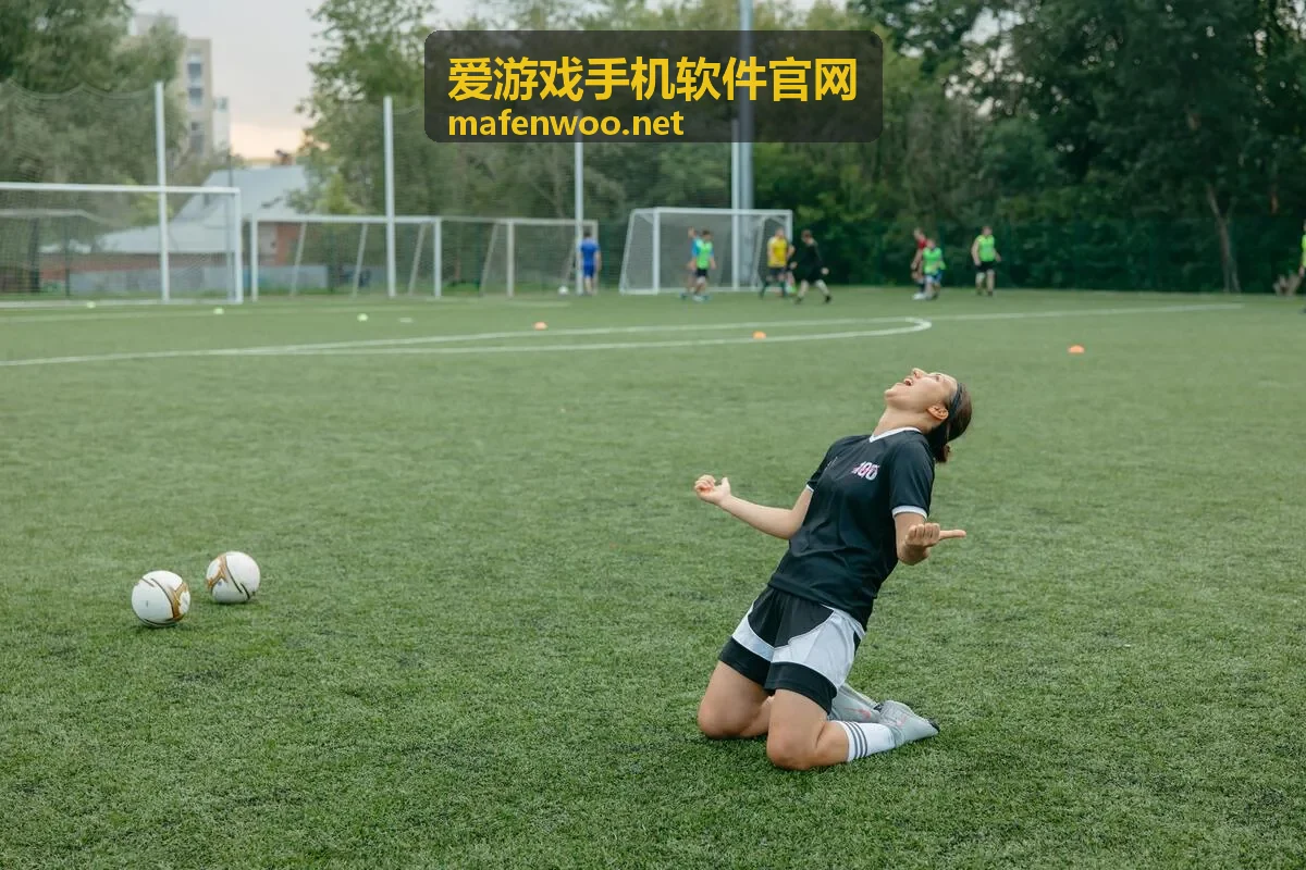 爱游戏手机软件官网运行问题排查顺序