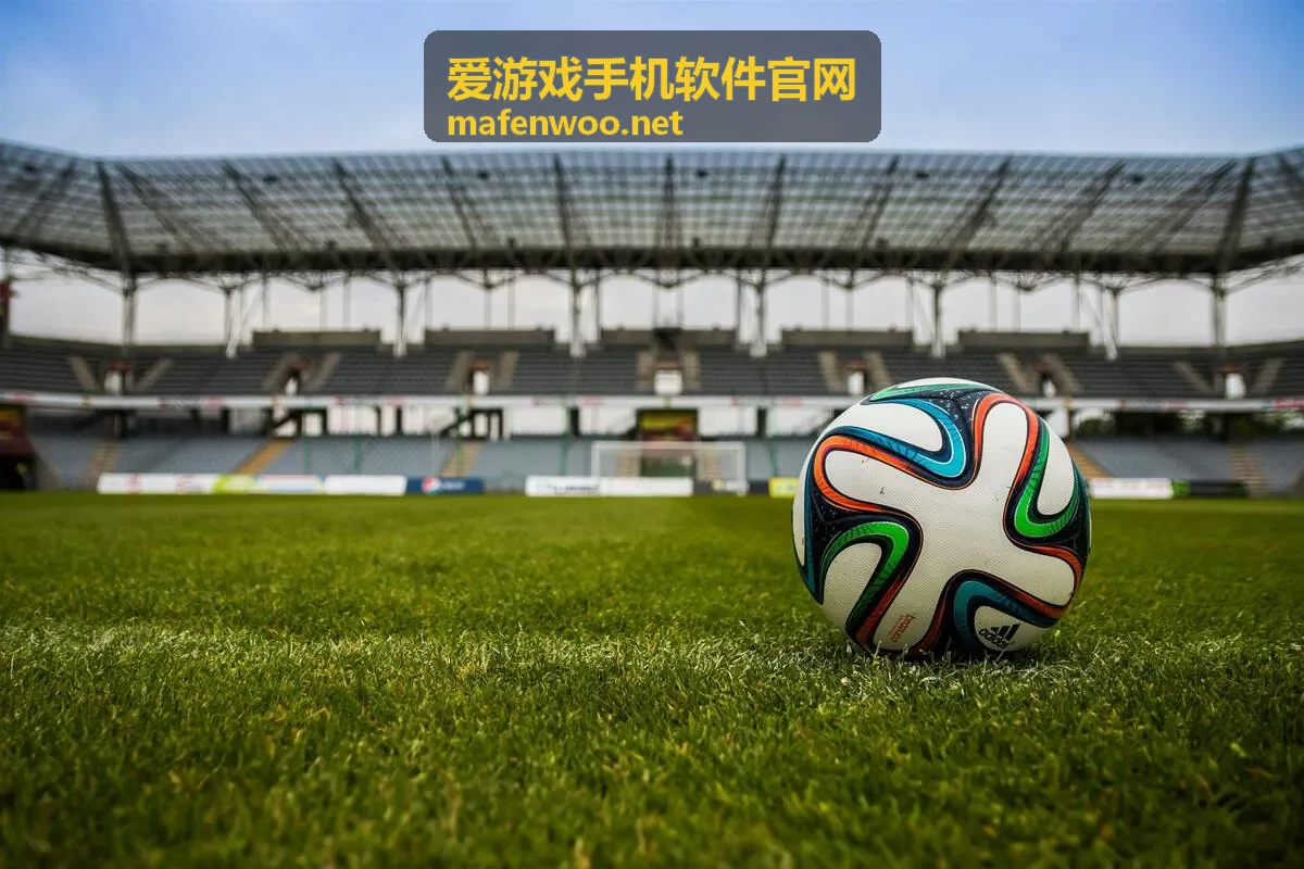 爱游戏手机软件官网应用下载前的机型核对