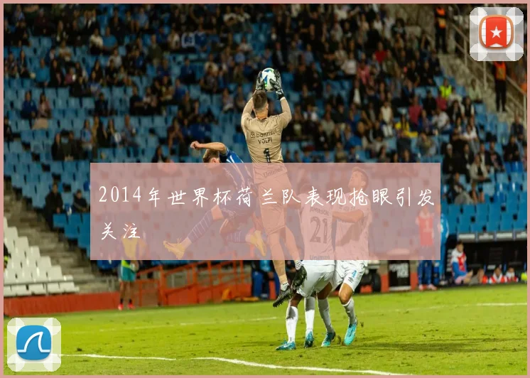 2014年世界杯荷兰队表现抢眼引发关注