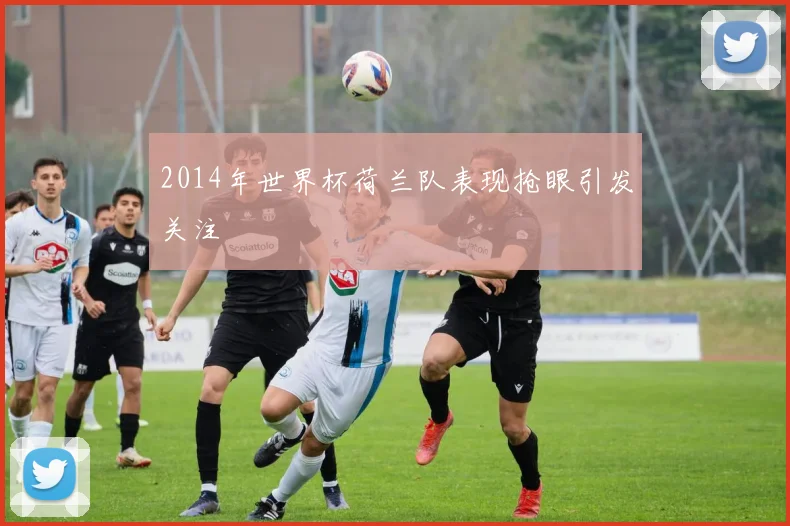 2014年世界杯荷兰队表现抢眼引发关注