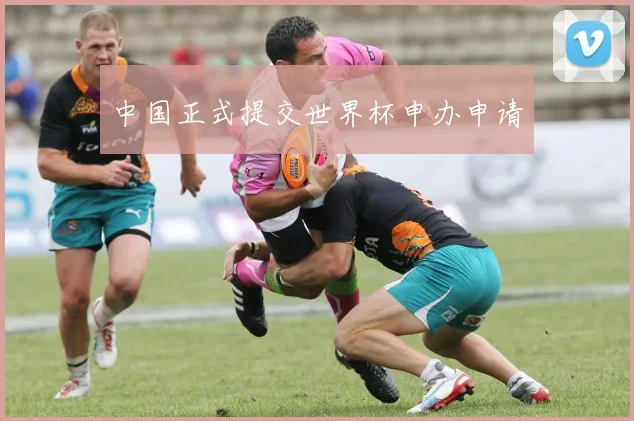 中国正式提交世界杯申办申请