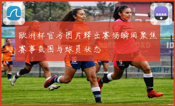 欧洲杯官方图片释出赛场瞬间聚焦赛事氛围与球员状态