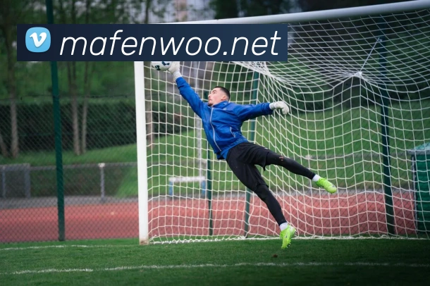 世界杯app官网发展历程